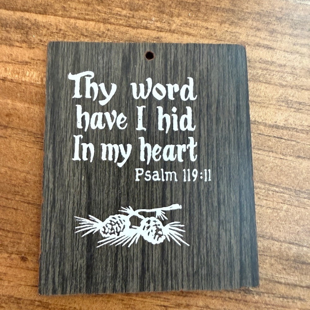 Wooden Psalm 119:11 Wall Plaque - Dark Wood with White Script